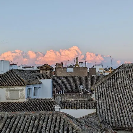 Luz De Daire